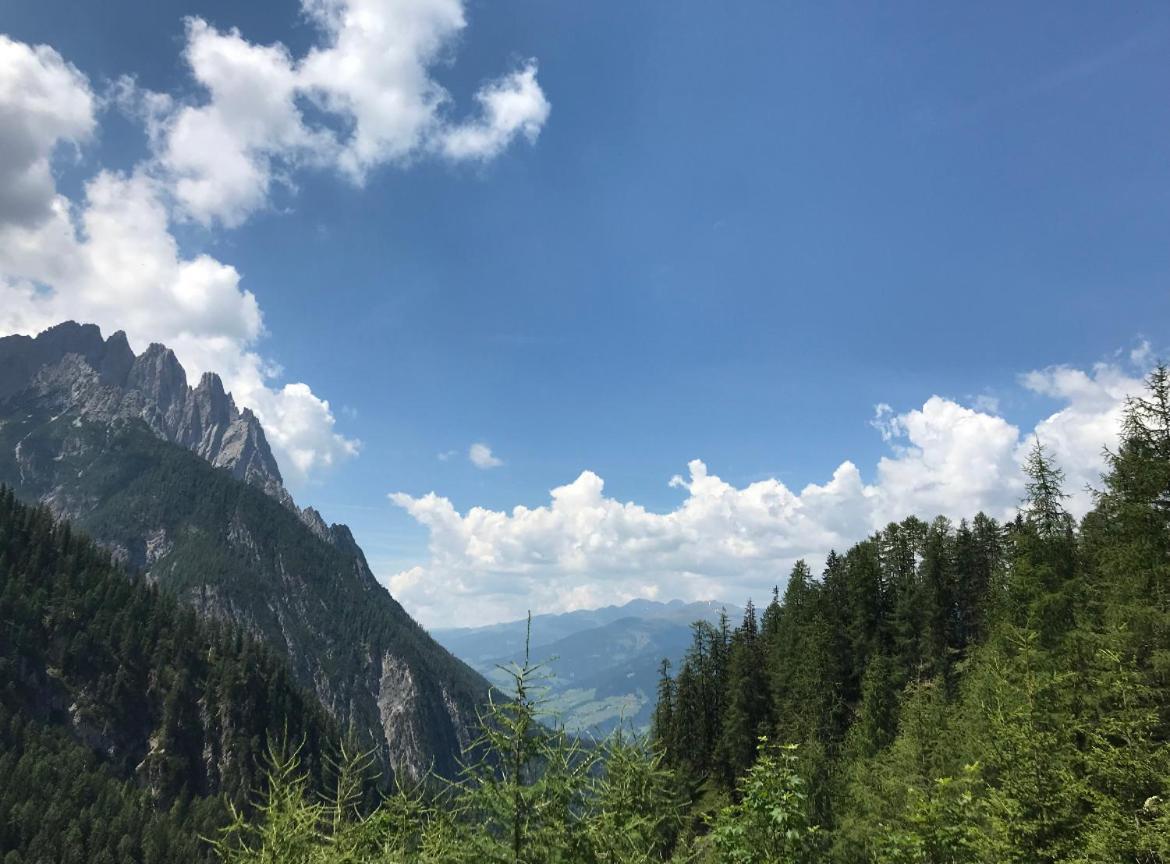 Ferienwohnung The Dolomiti View Debant Exterior foto